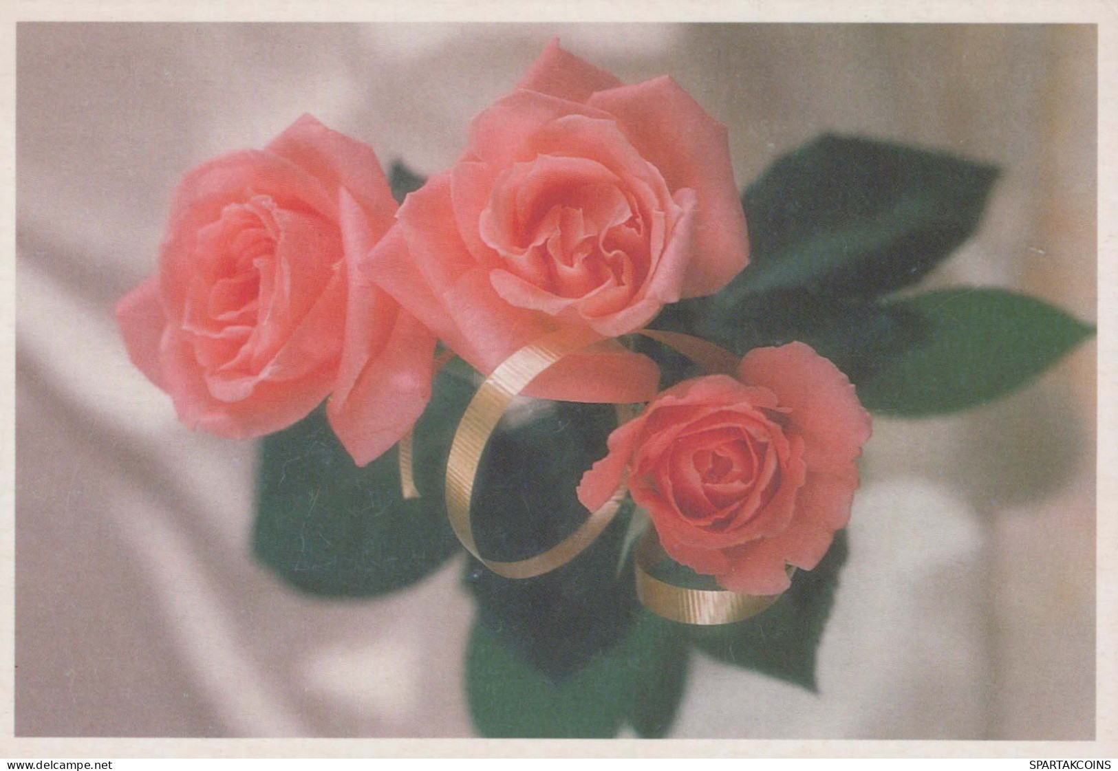 FIORI Vintage Cartolina CPSM #PBZ163.IT - Flores