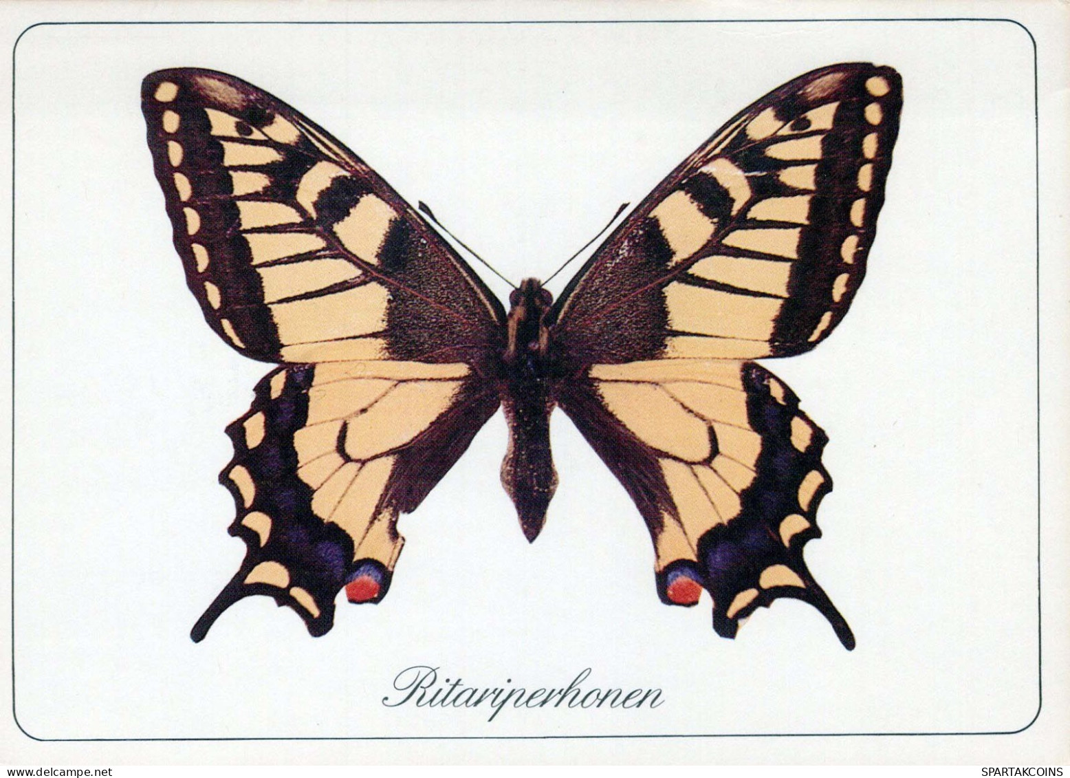 FARFALLA Animale Vintage Cartolina CPSM #PBS431.IT - Papillons