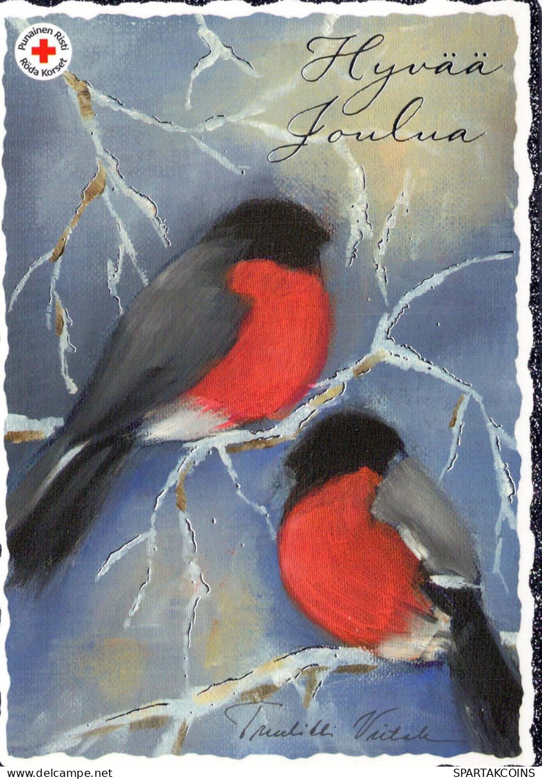 UCCELLO Animale Vintage Cartolina CPSM #PBR574.IT - Birds