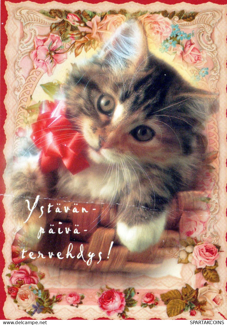 GATTO KITTY Animale Vintage Cartolina CPSM #PBQ921.IT - Chats