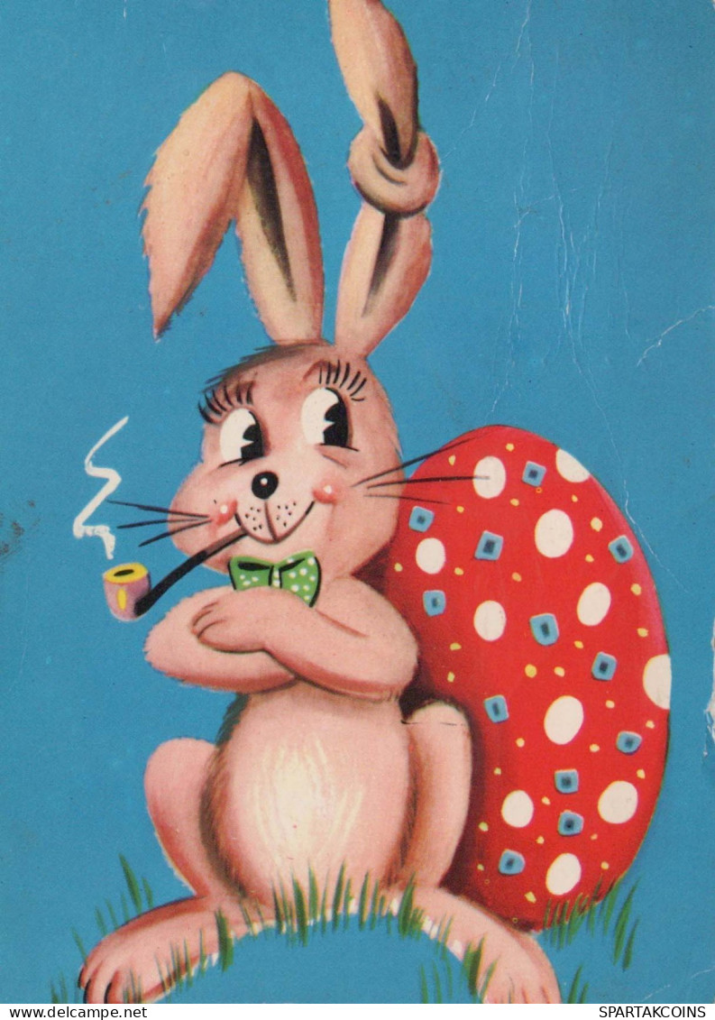 PASQUA CONIGLIO Vintage Cartolina CPSM #PBO377.IT - Ostern