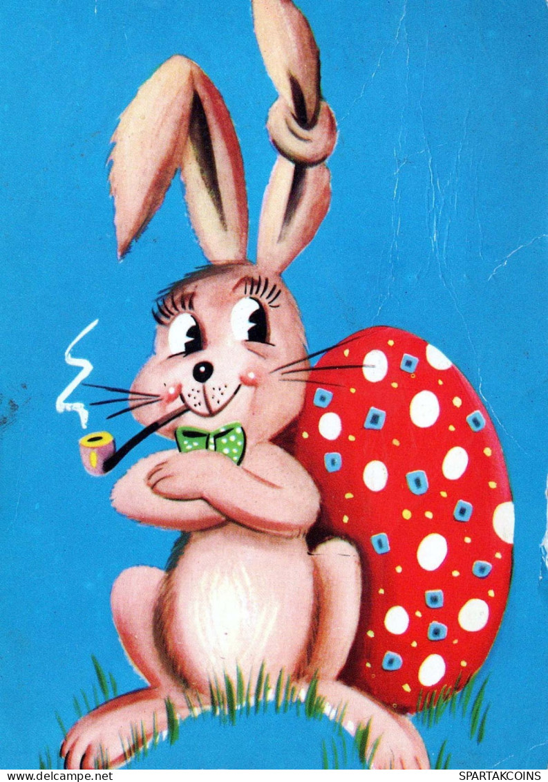 PASQUA CONIGLIO Vintage Cartolina CPSM #PBO377.IT - Ostern