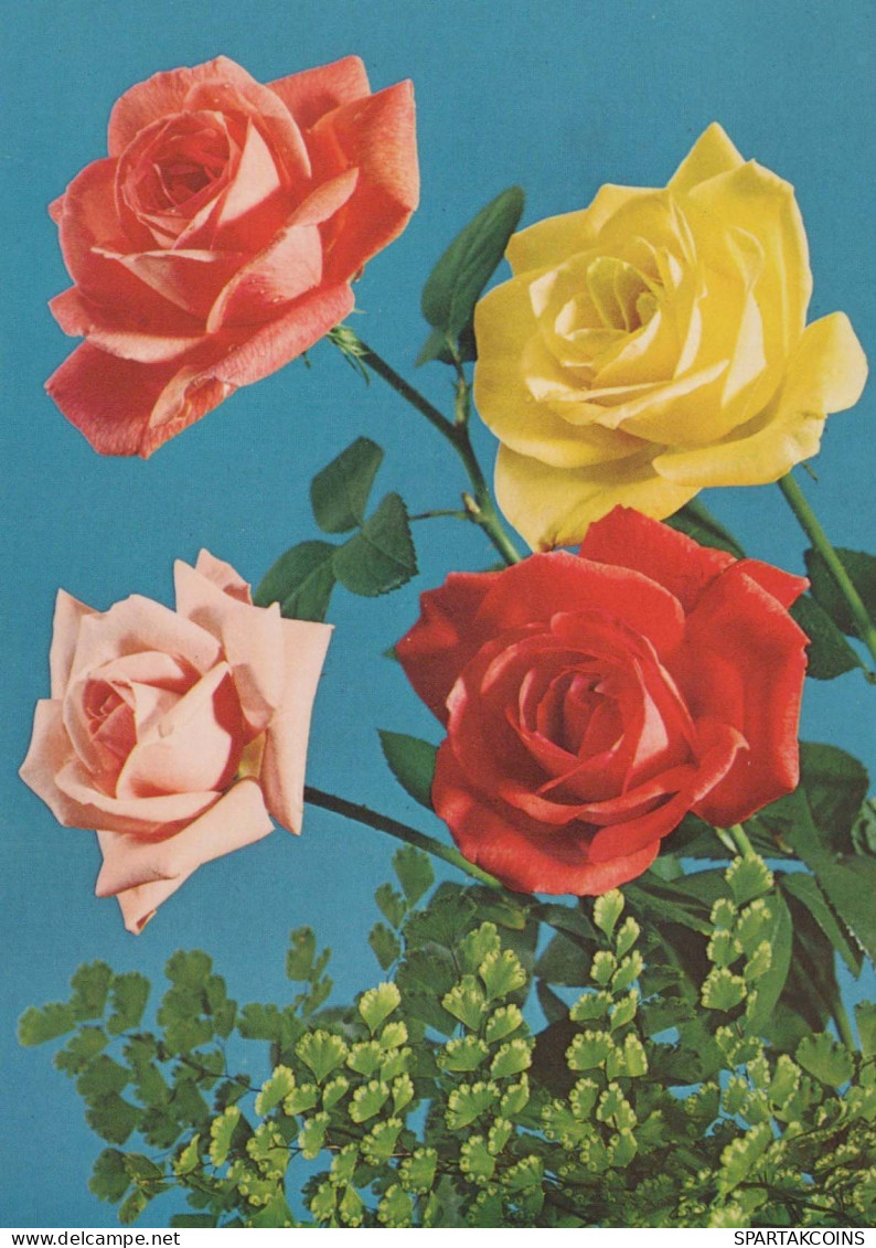 FIORI Vintage Cartolina CPSM #PAS536.IT - Flowers