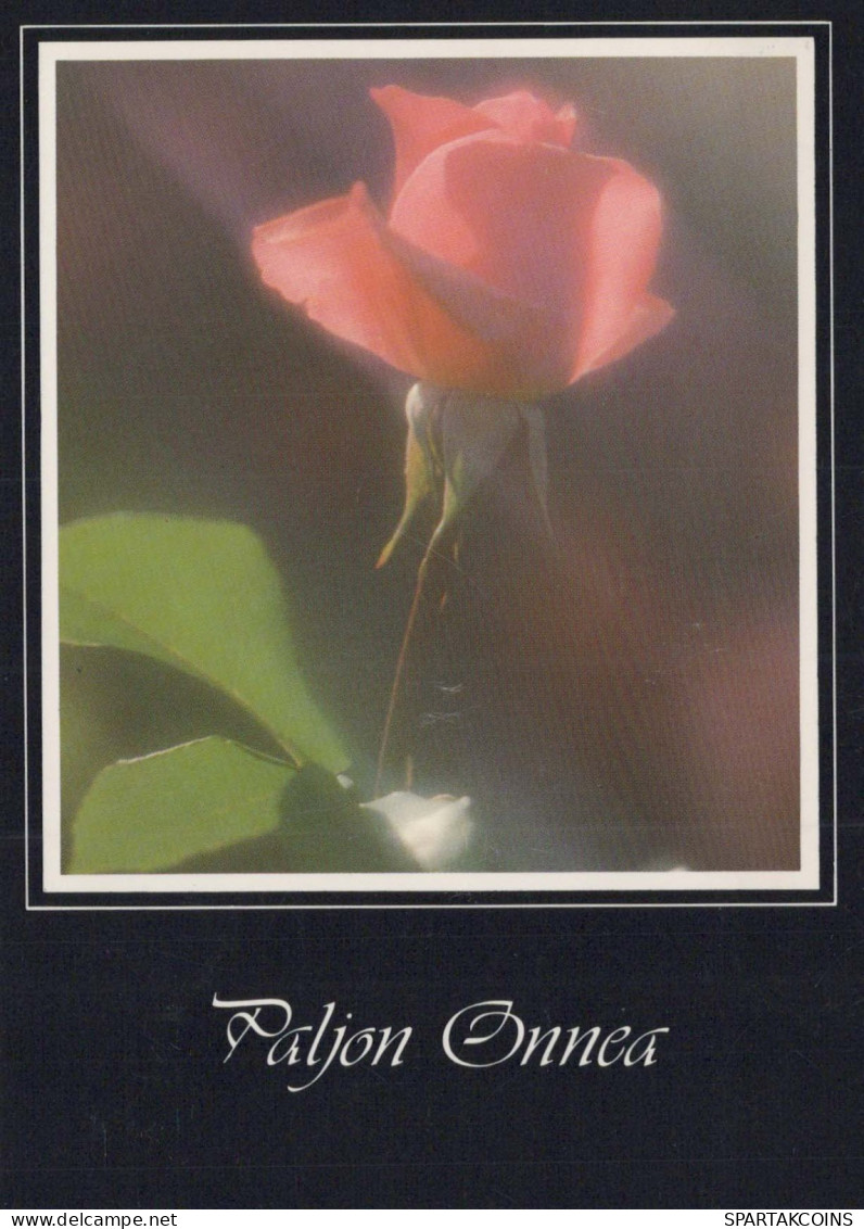 FIORI Vintage Cartolina CPSM #PAS236.IT - Flowers