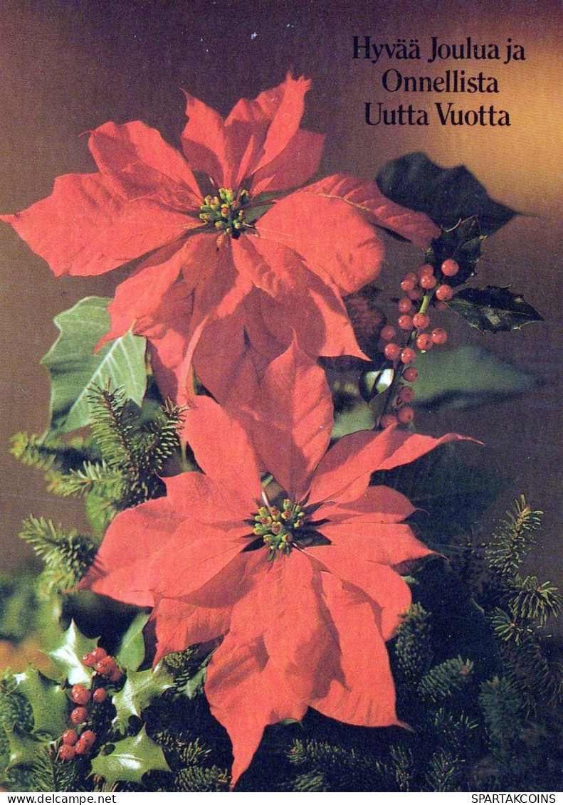 FIORI Vintage Cartolina CPSM #PAR815.IT - Flowers