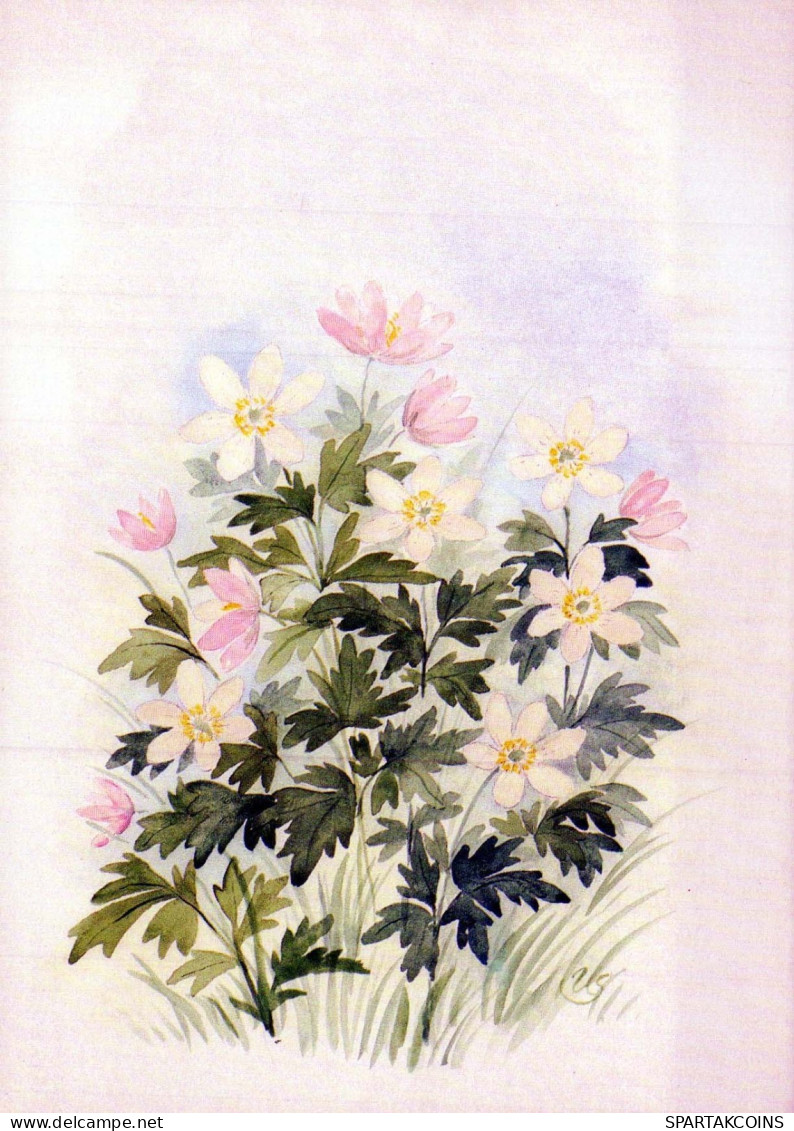 FIORI Vintage Cartolina CPSM #PAR455.IT - Flowers