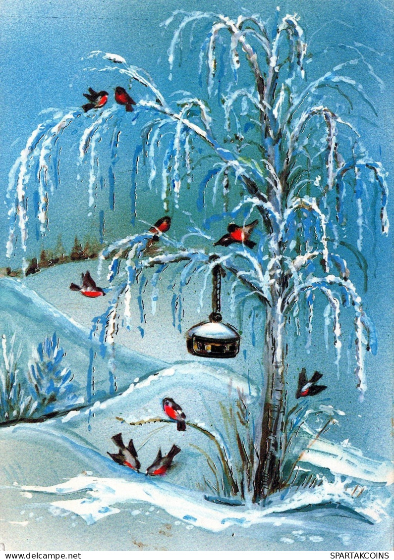 UCCELLO Animale Vintage Cartolina CPSM #PAM764.IT - Birds