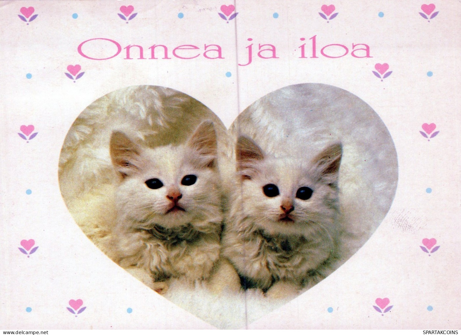 GATTO KITTY Animale Vintage Cartolina CPSM #PAM448.IT - Gatos