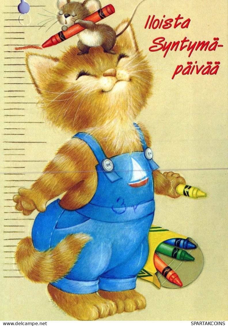GATTO KITTY Animale Vintage Cartolina CPSM #PAM197.IT - Gatos