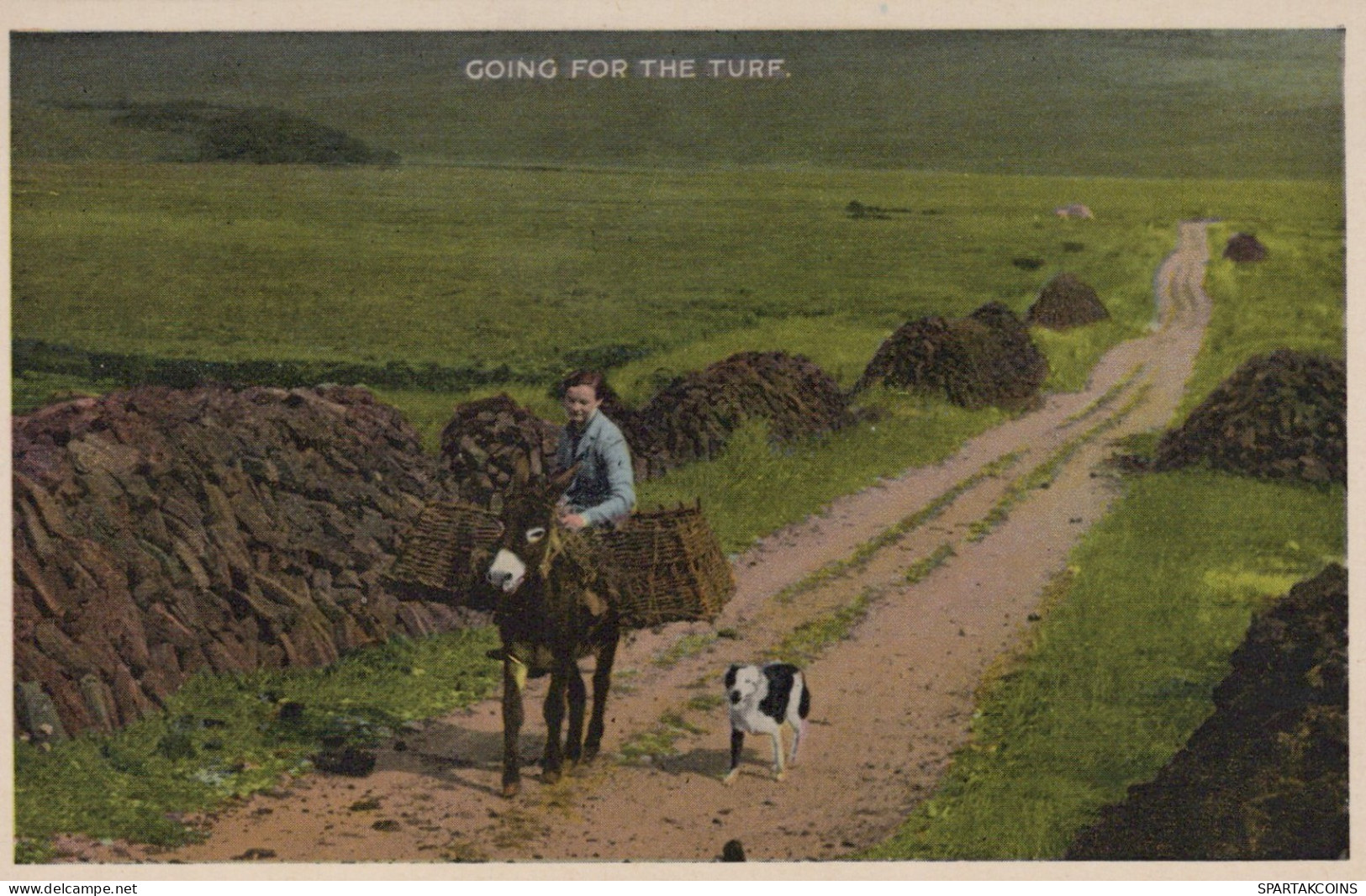 ESEL Tiere Kinder Vintage Antik Alt CPA Ansichtskarte Postkarte #PAA007.DE - Donkeys