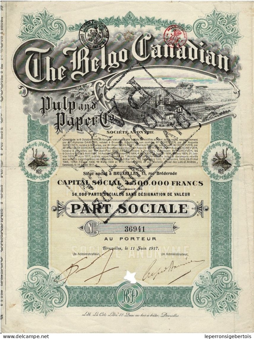 Titre De 1917 - The Belgo Canadian Pulp And Paper - Déco - Industry