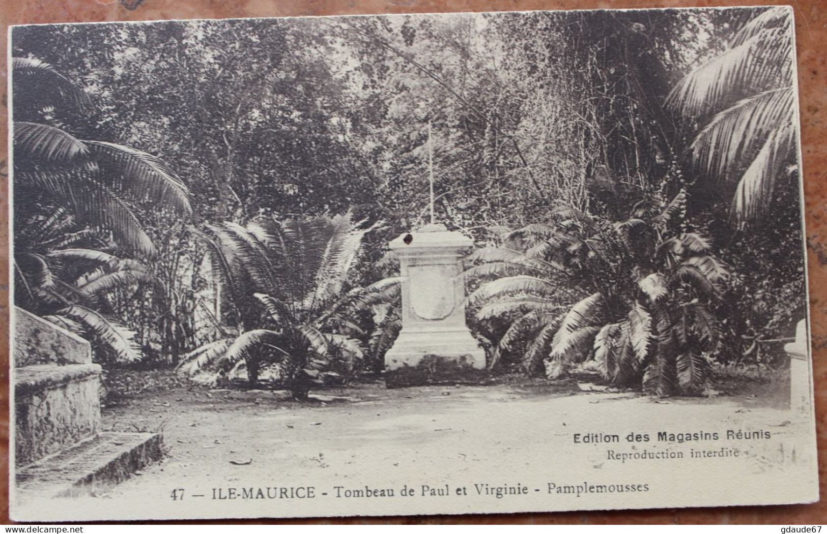 ILE MAURICE - TOMBEAU DE PAUL ET VIRGINIE - PAMPLEMOUSSES - Maurice