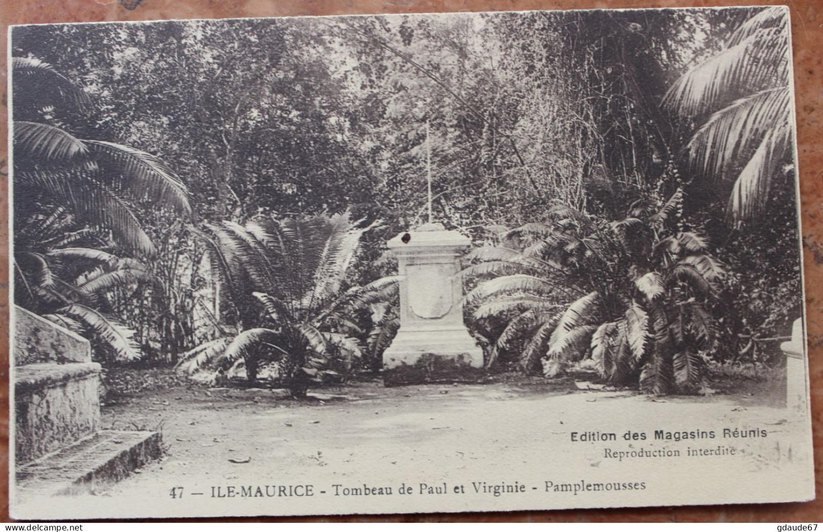 ILE MAURICE - TOMBEAU DE PAUL ET VIRGINIE - PAMPLEMOUSSES - Mauritius