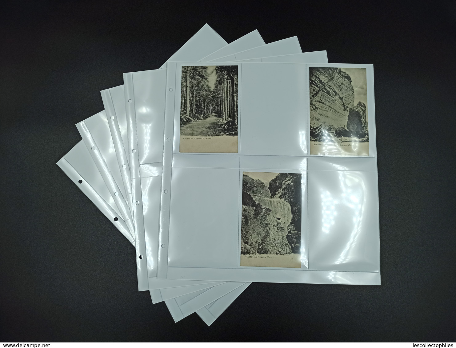 LOT 5 FEUILLES SAFE FOND BLANC POUR CPM / 6 CASES RECTO ET VERSO HORIZONTALES - Non Classificati