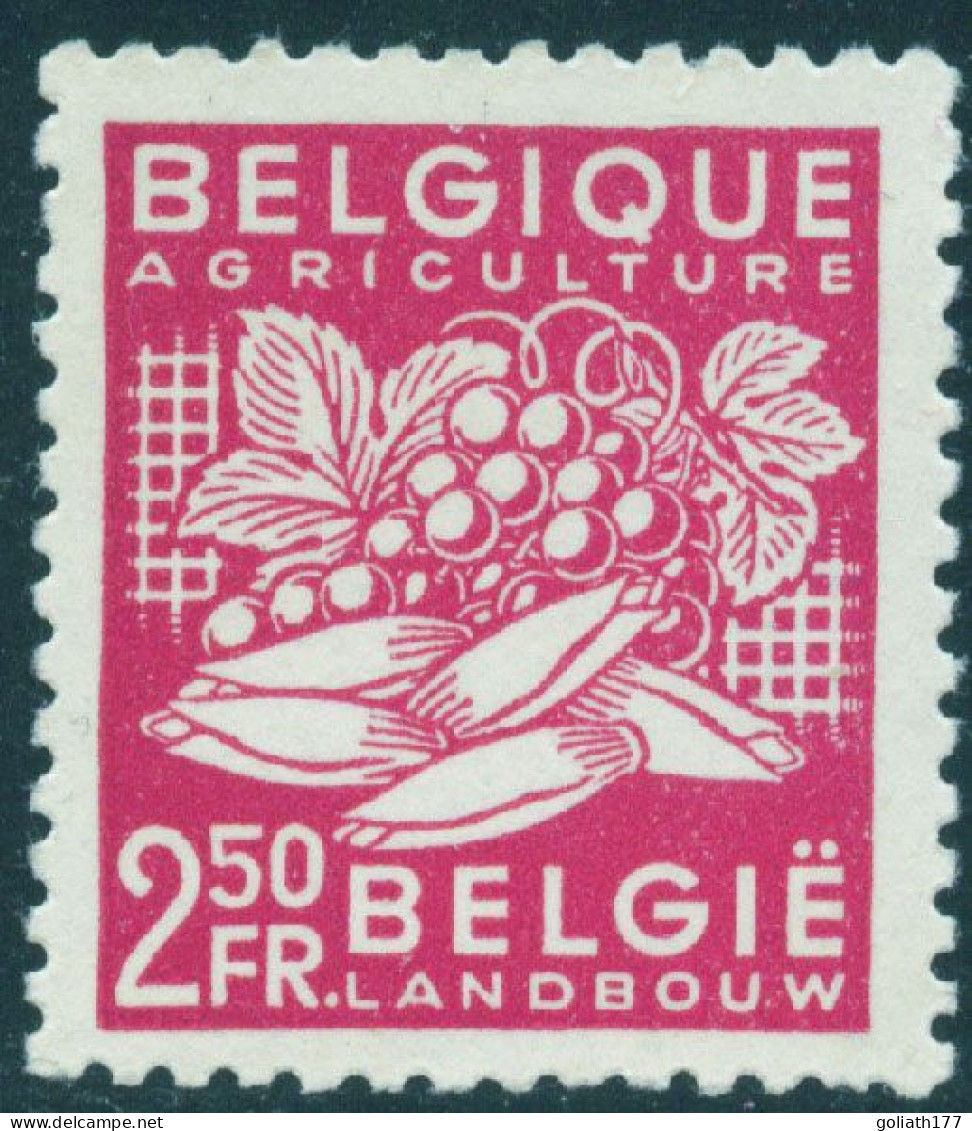 769 ** Obp 8,20 Euro - Unused Stamps