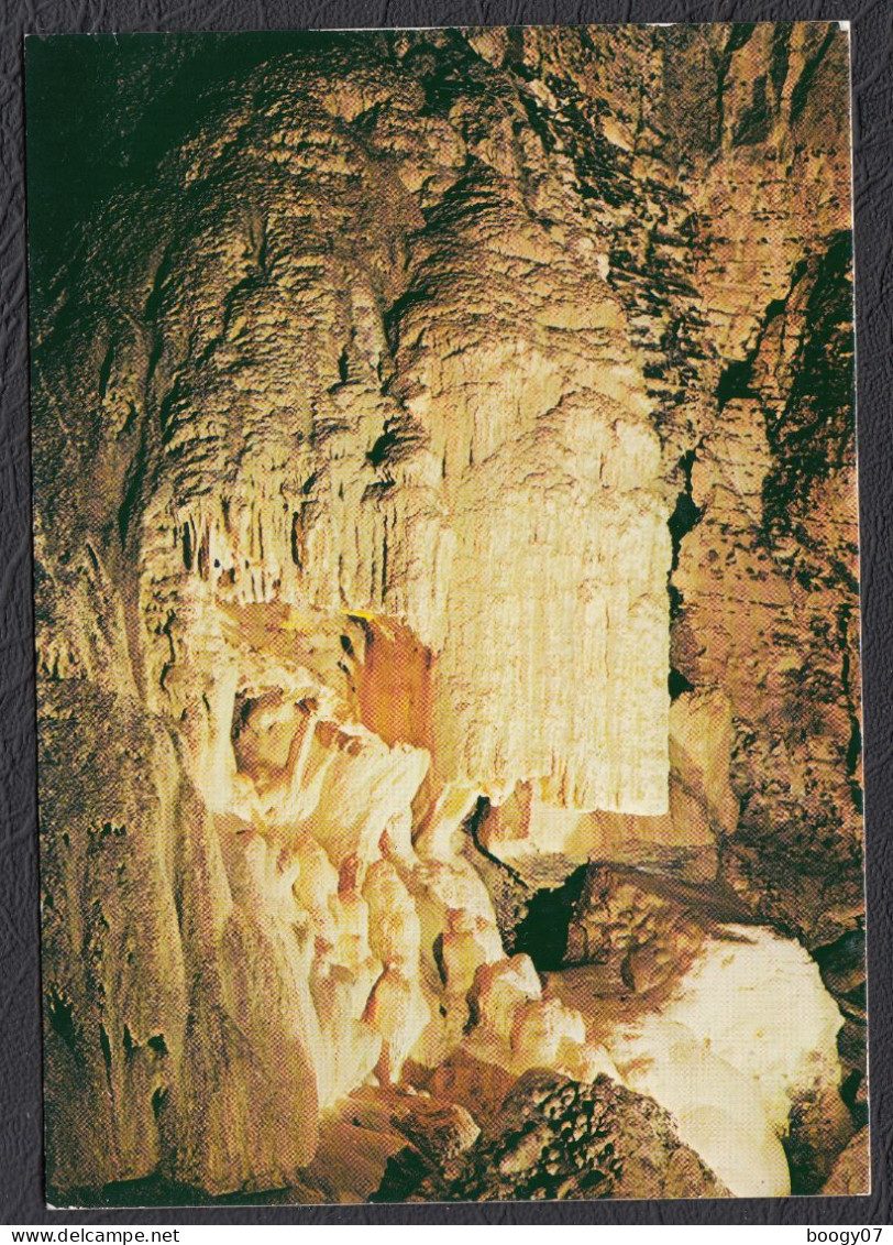 38 Grottes De Sassenage Salle Saint Bruno La Cathédrale - Sassenage