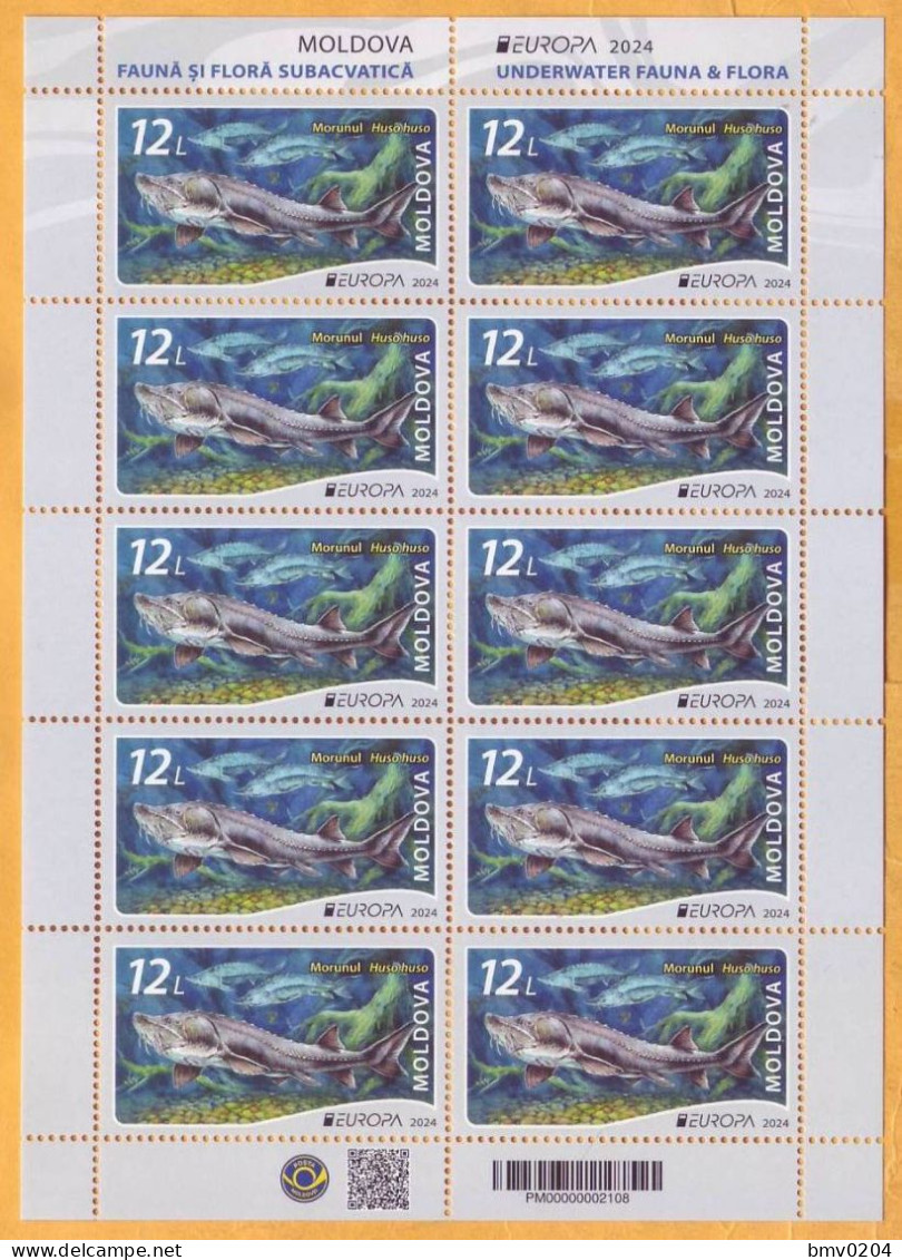 2024 Moldova Sheet Europa 2024. Underwater Flora And Fauna. Fish, Beluga, Mint - Moldavia