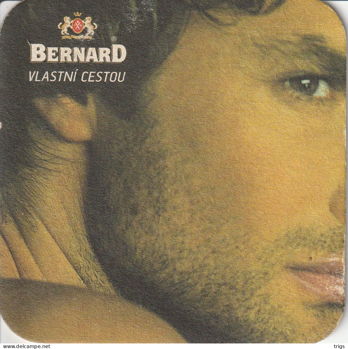 Bernard - Sous-bocks