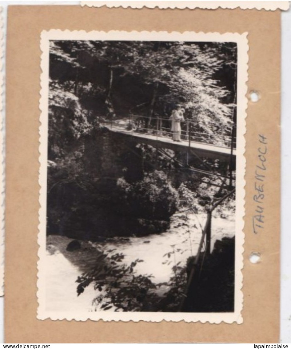 3 Photos De Particulier 31/07/1957 Suisse Bienne Les Gorges Du Taubenloch  Divers Vues  Réf 29673 - Lieux