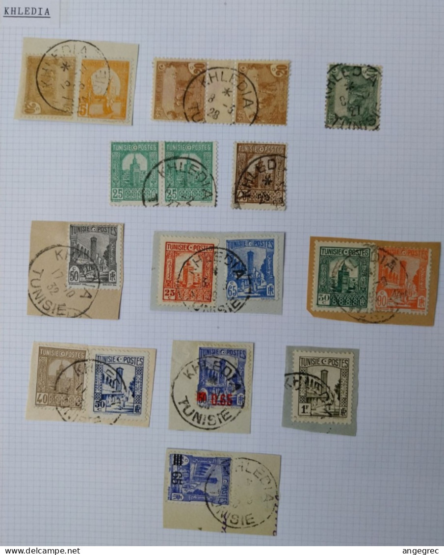 Tunisie Lot Timbre Oblitération Choisies Khledia   Dont Fragment  à Voir - Used Stamps