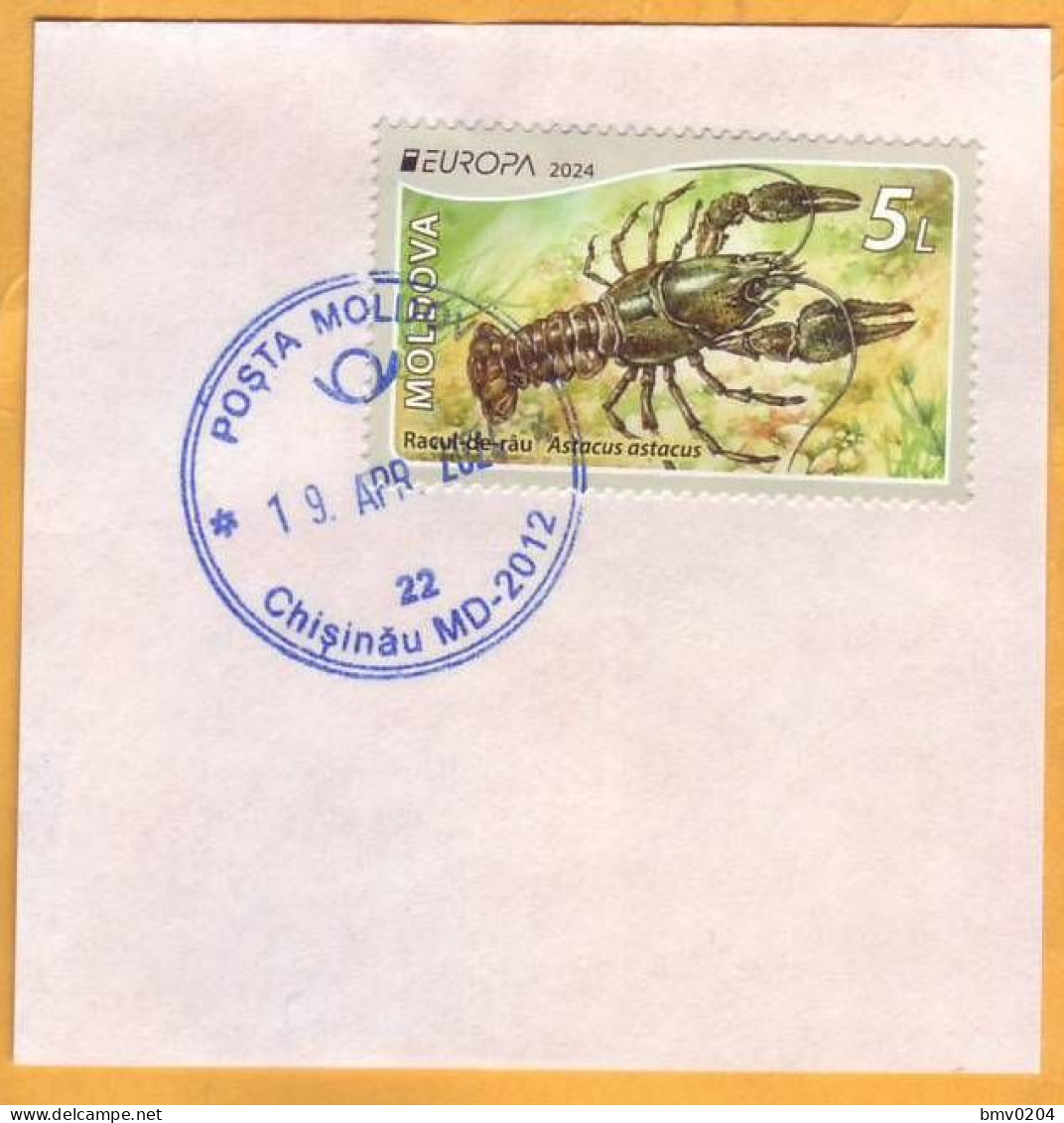 2024 Moldova  Europa 2024. Underwater Flora And Fauna, Crayfish  1v Used, Envelope Clipping - 2024