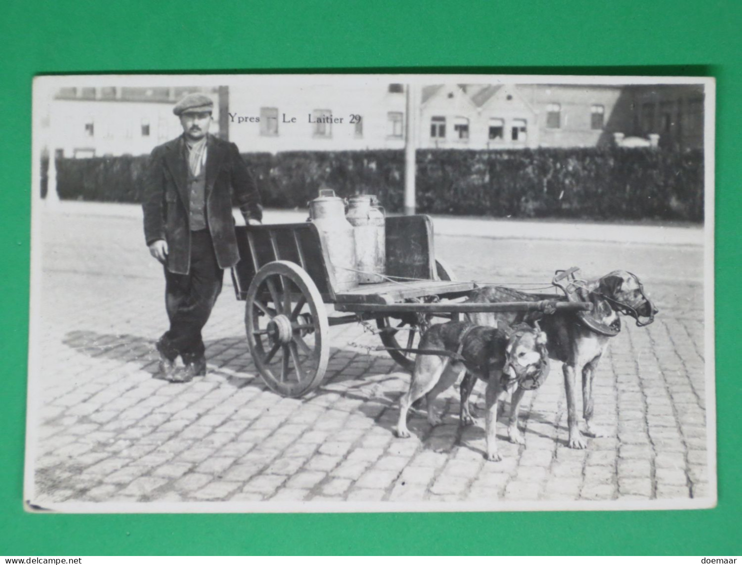 BE2048 Ypres Ieper Le Laitier No 29 Charrette A Chien Dog Cart Hondenkar - Ieper