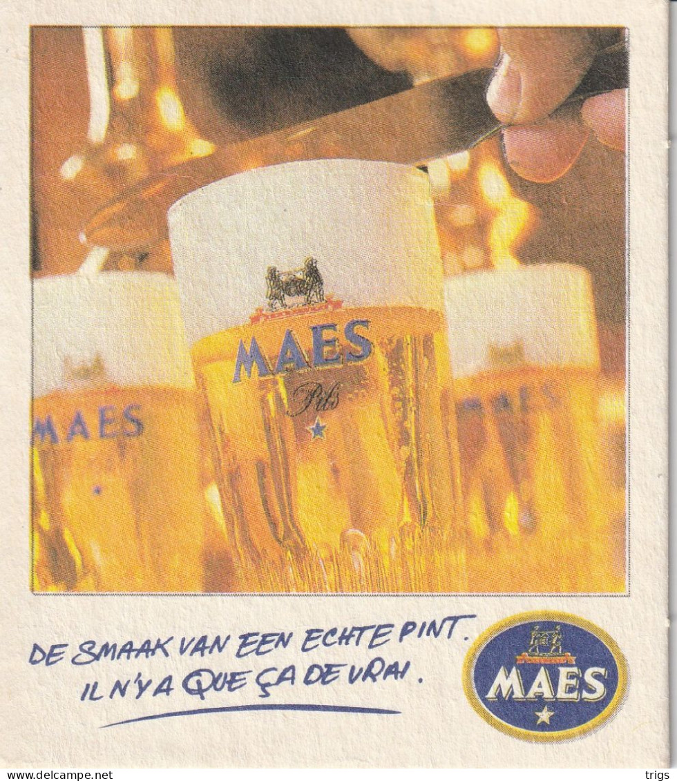 Maes - Portavasos