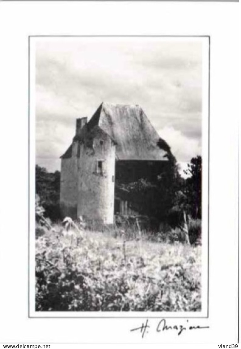 "  Ruines Du Château De Taveneau ( Nièvre) . "   -  Photo  Hélène Mazière . - Photographie