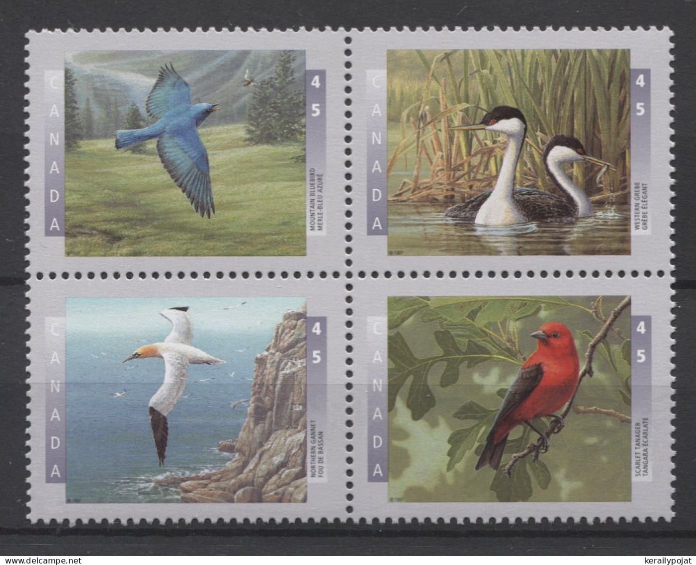 Canada - 1997 Native Birds Block Of Four MNH__(TH-24895) - Blocs-feuillets