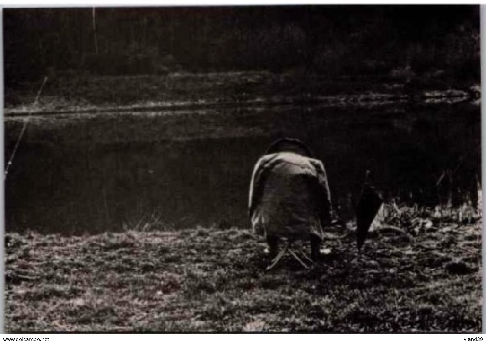 " Le Pêcheur.  "   -  Photo  Patrick CAUDA.    .Non écrite Non Circulée - Fotografía