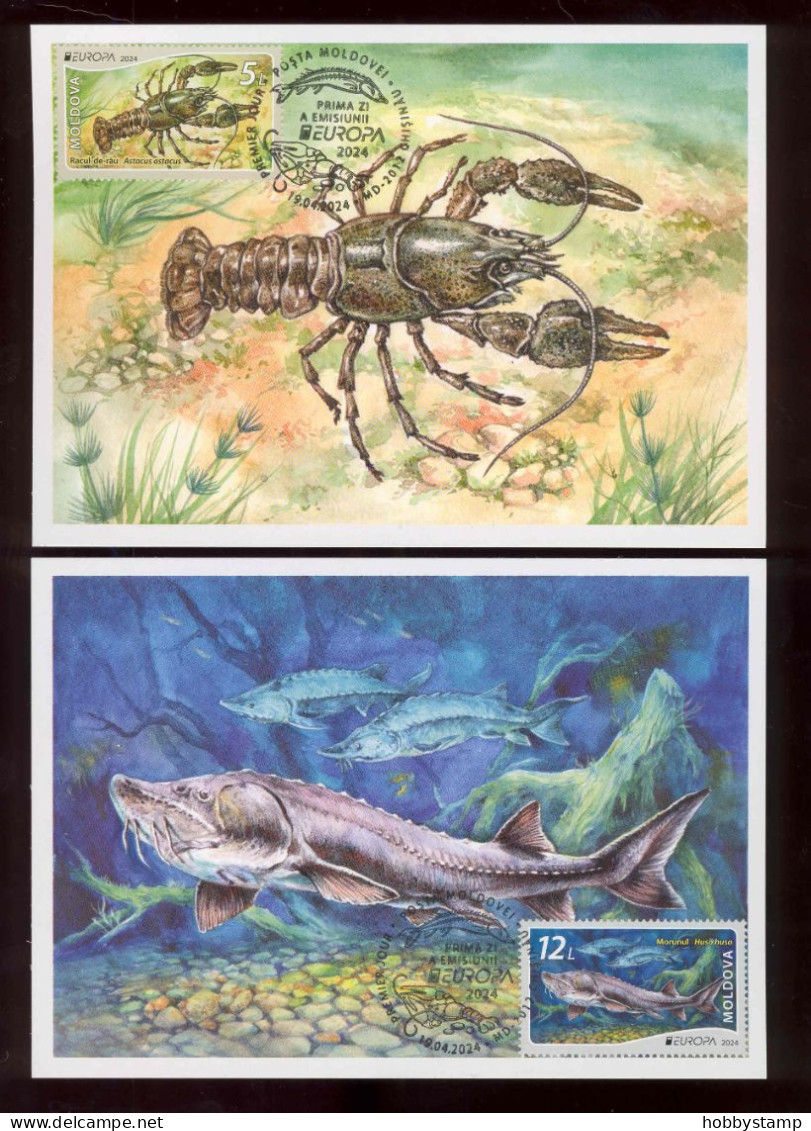 Moldova 2024  Europa CEPT Underwater Flora And Fauna  2 Maxicards - Moldawien (Moldau)