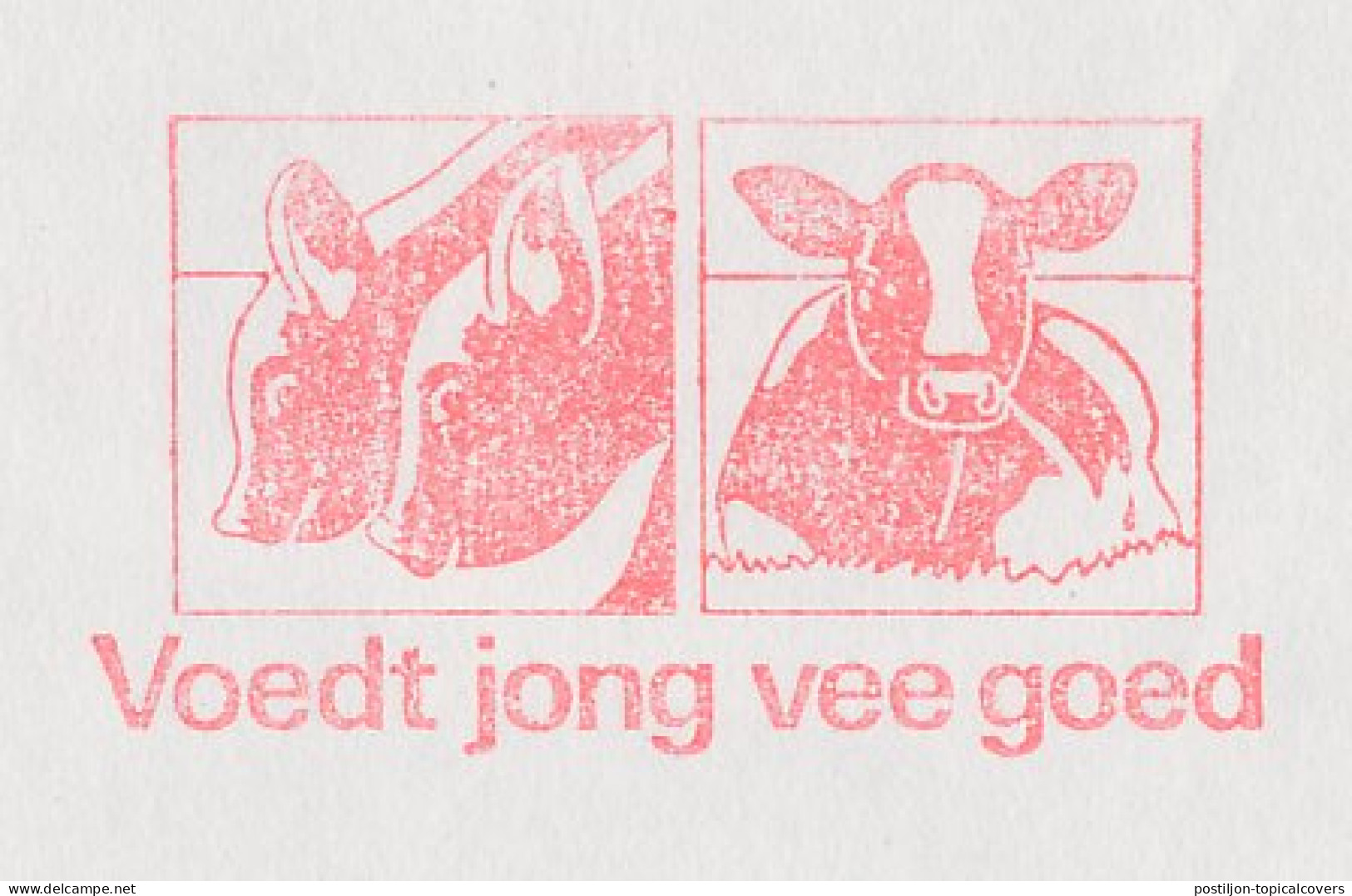 Meter Cover Netherlands 1989 Cow - Calf - Feeds Young Cattle Well - Voorthuizen - Boerderij