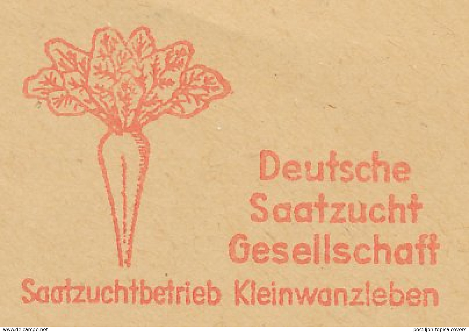Meter Cut Deutsche Post / Germany 1950 Sugar Beet - Landbouw
