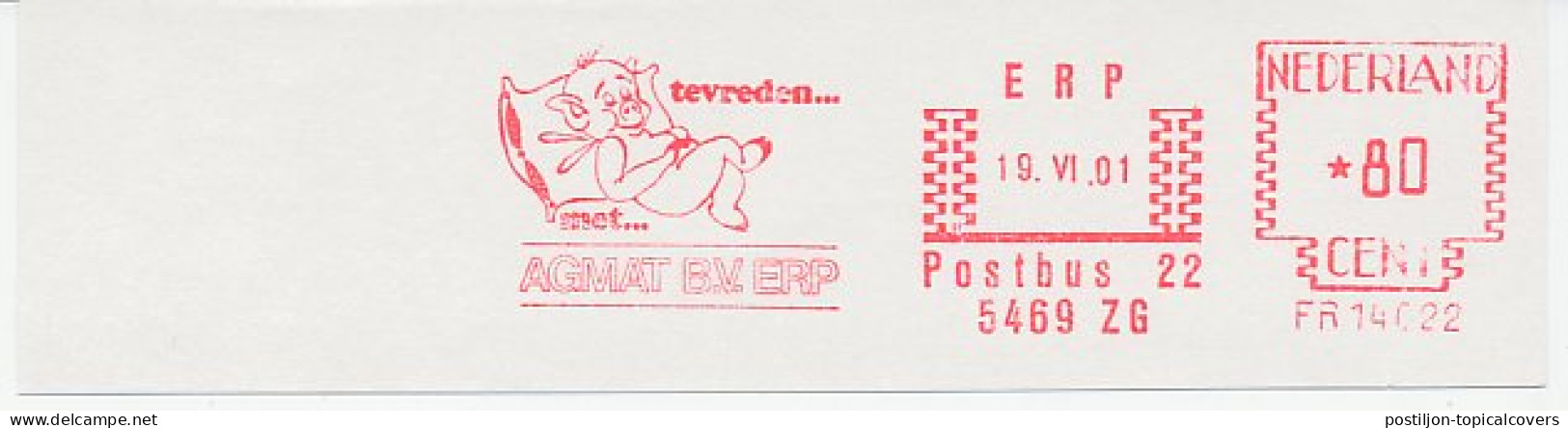 Meter Cut Netherlands 2001 Pig - Fattoria