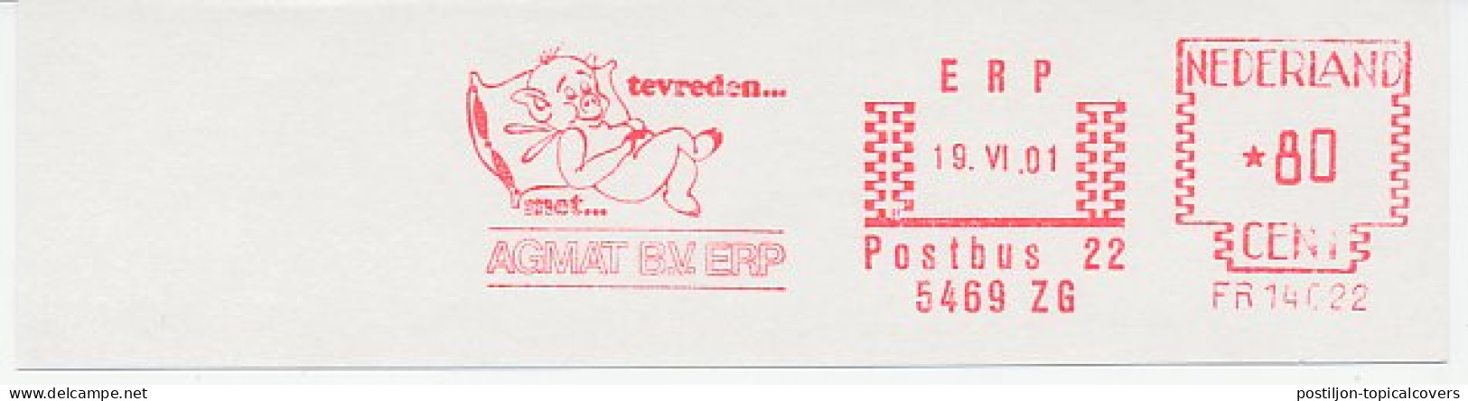 Meter Cut Netherlands 2001 Pig - Hoftiere