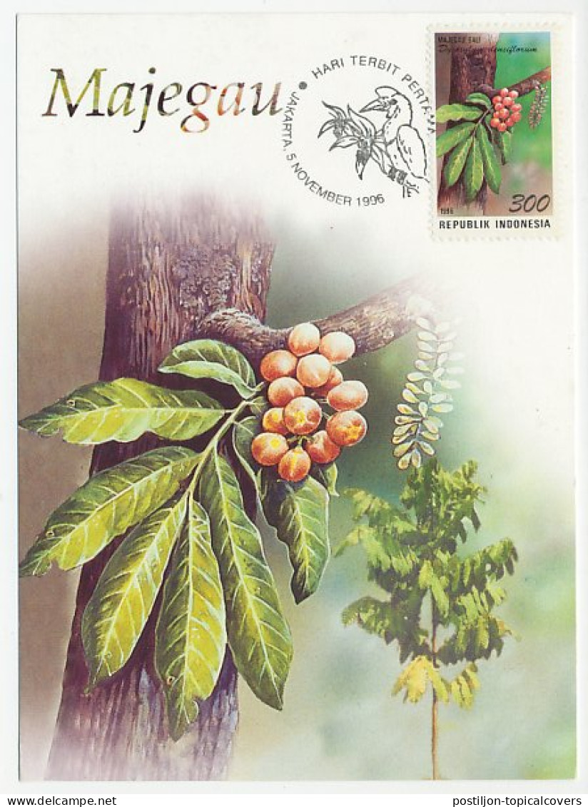 Maximum Card Indonesia 1996 Majegau - Bird - Hornbill - Fruit