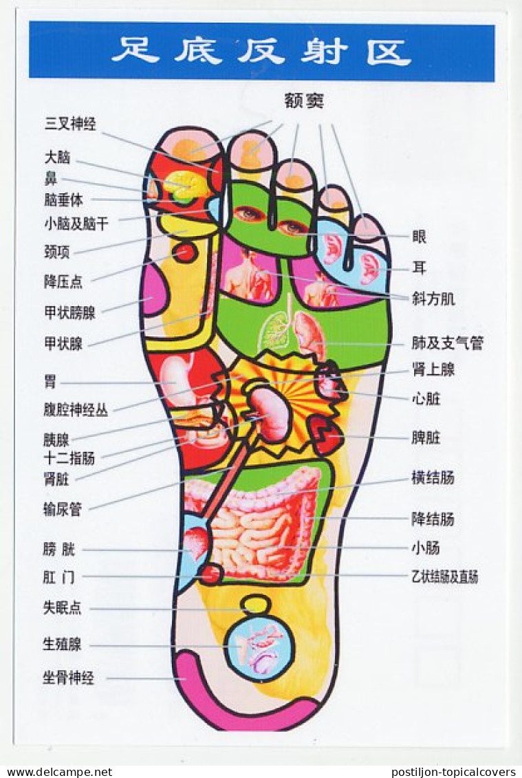 Postal Stationery China 2006 Acupuncture - Foot - Andere & Zonder Classificatie