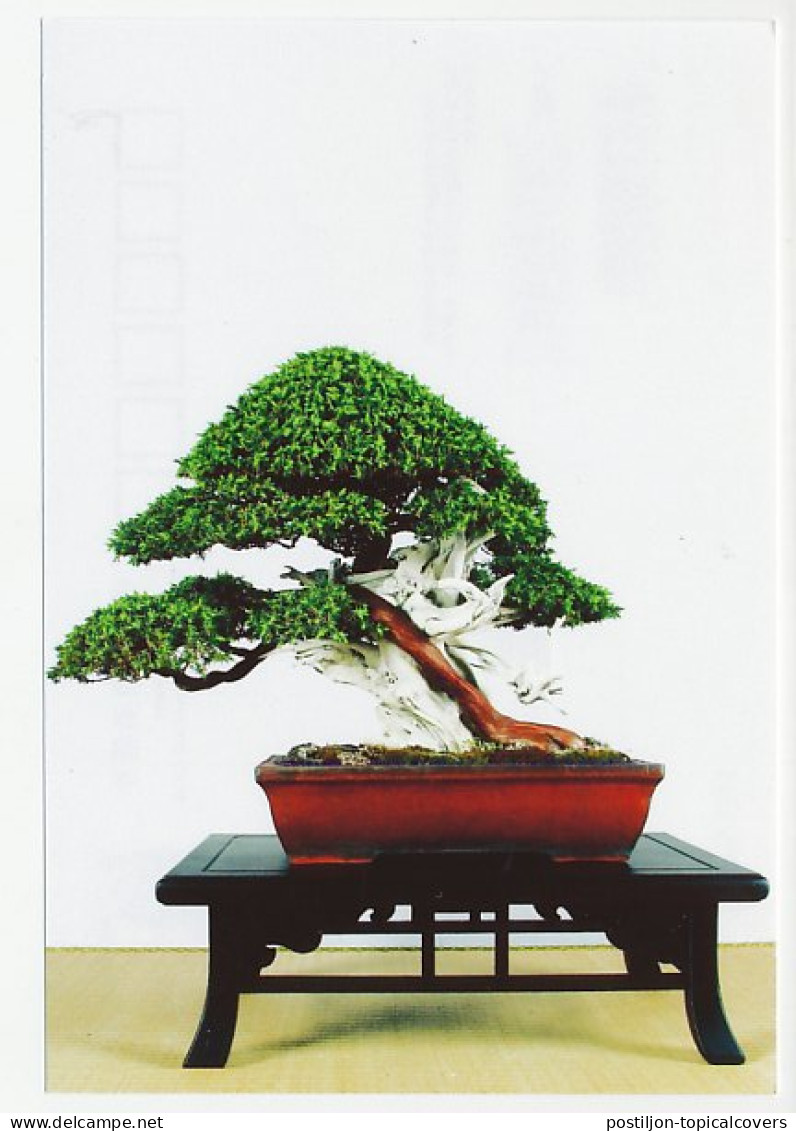 Postal Stationery China 2006 Bonsai Tree - Bomen