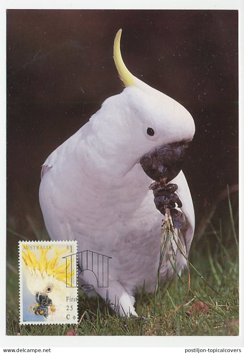 Maximum Card Australia 1991 Bird - Cockatoo - Autres & Non Classés