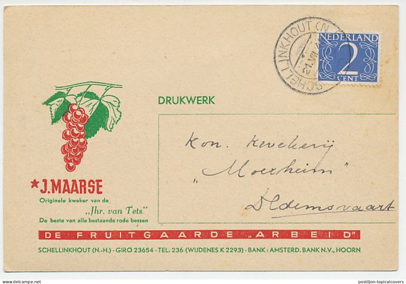 Firma Briefkaart Schellinkhout 1949 - Rode Bessen / Fruit - Non Classificati