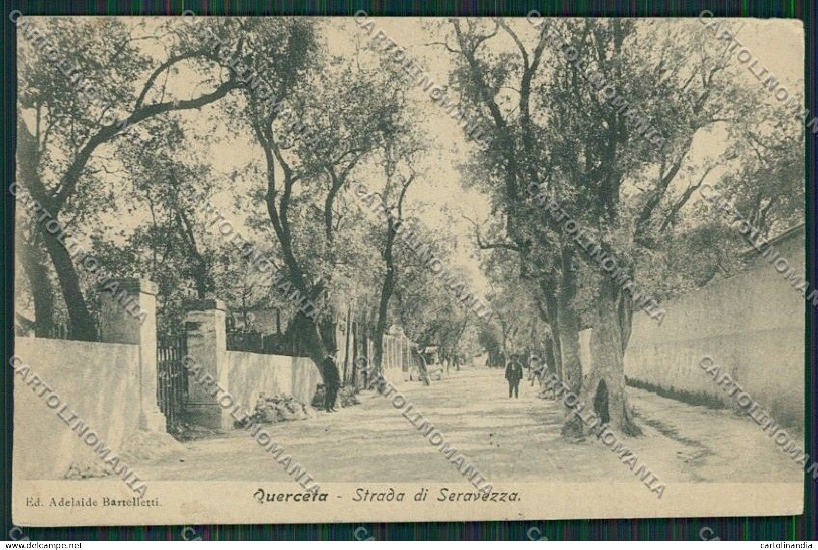 Lucca Seravezza Querceta Cartolina QQ2761 - Lucca