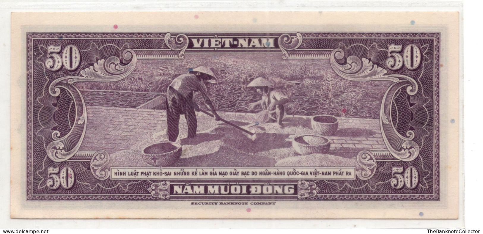 South Vietnam 50 Dong ND 1958 P-8  AUNC-UNC - Vietnam