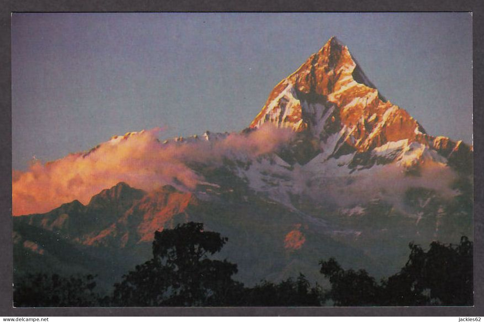 115743/ POKHARA, Peak Of Machapuchre  - Népal