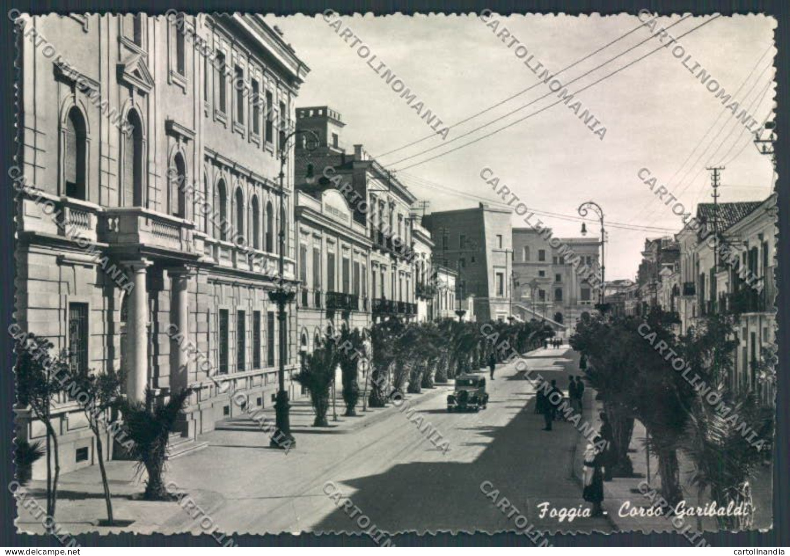 Foggia Città COLLA Foto FG Cartolina ZF6687 - Foggia