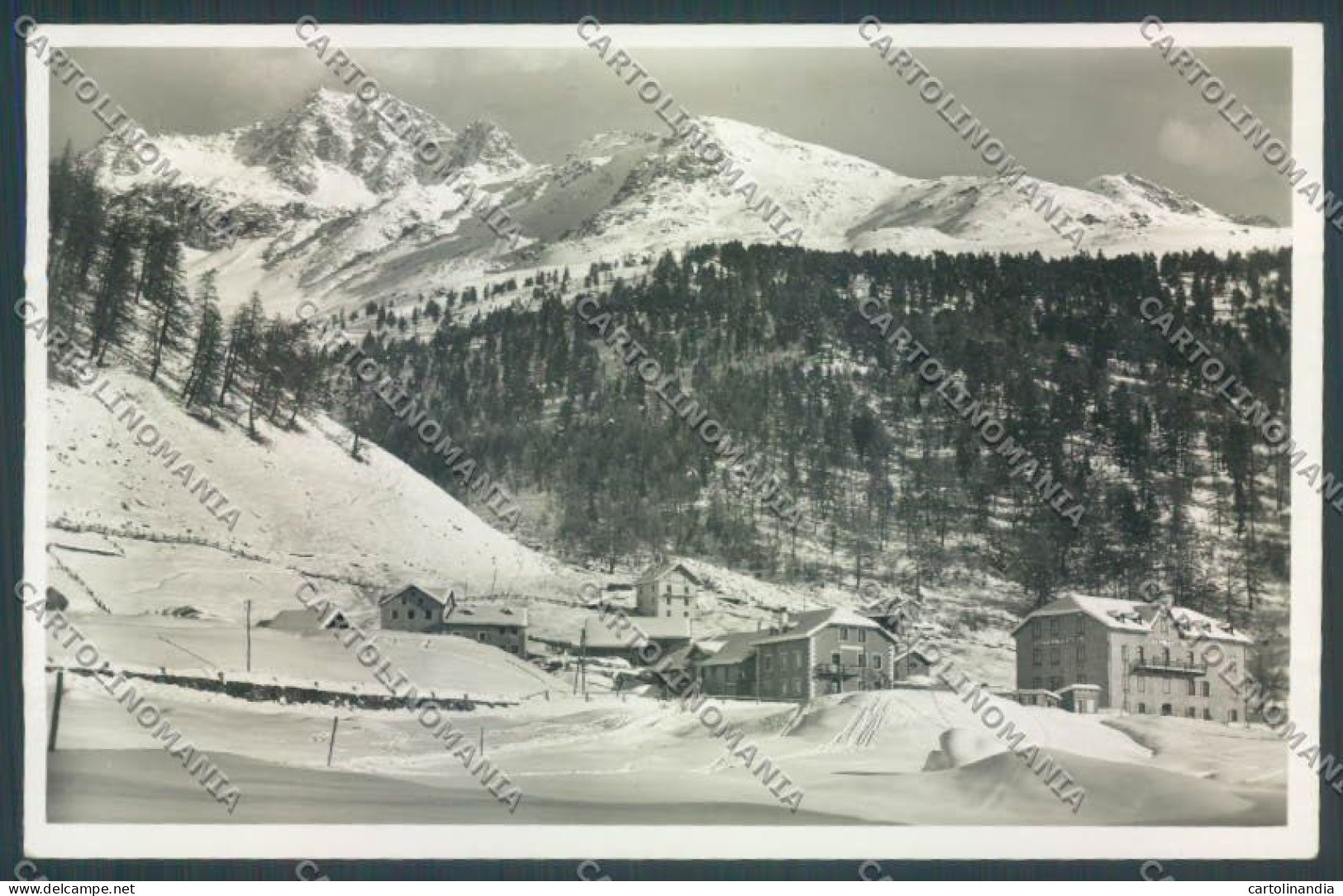 Bolzano Stelvio Solda Santa Gertrude Nevicata Foto Cartolina ZT9925 - Bolzano