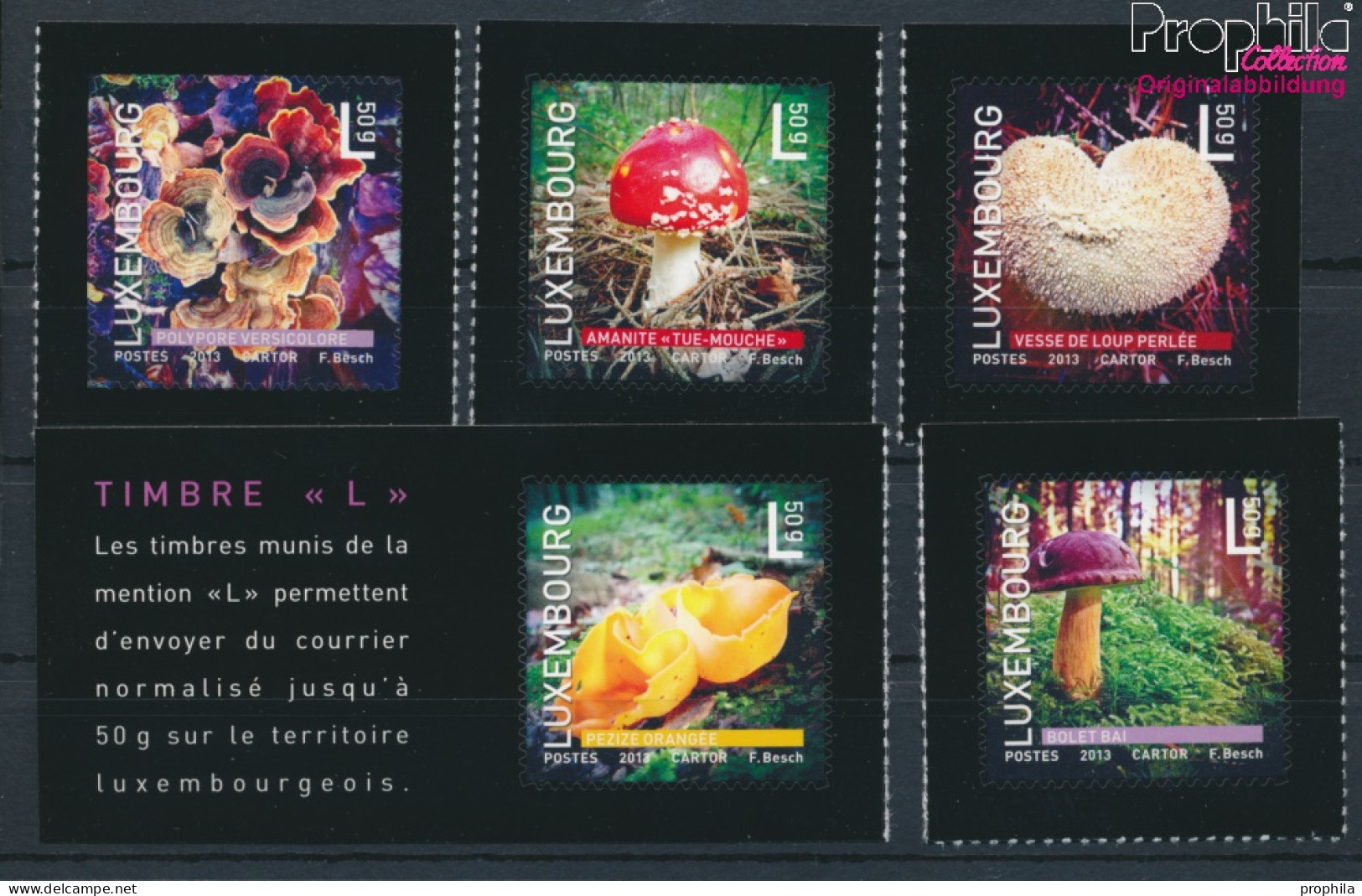 Luxemburg 1987-1991 (kompl.Ausg.) Postfrisch 2013 Einheimische Pilze (10377572 - Unused Stamps