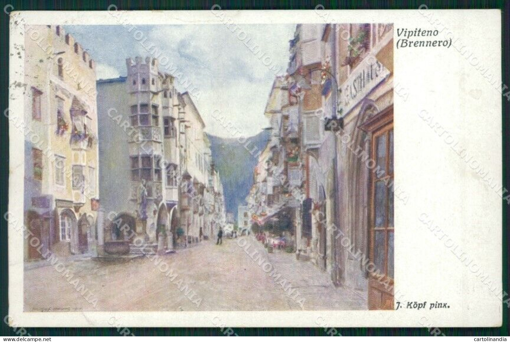 Bolzano Vitipeno Cartolina ZKM8551 - Bolzano