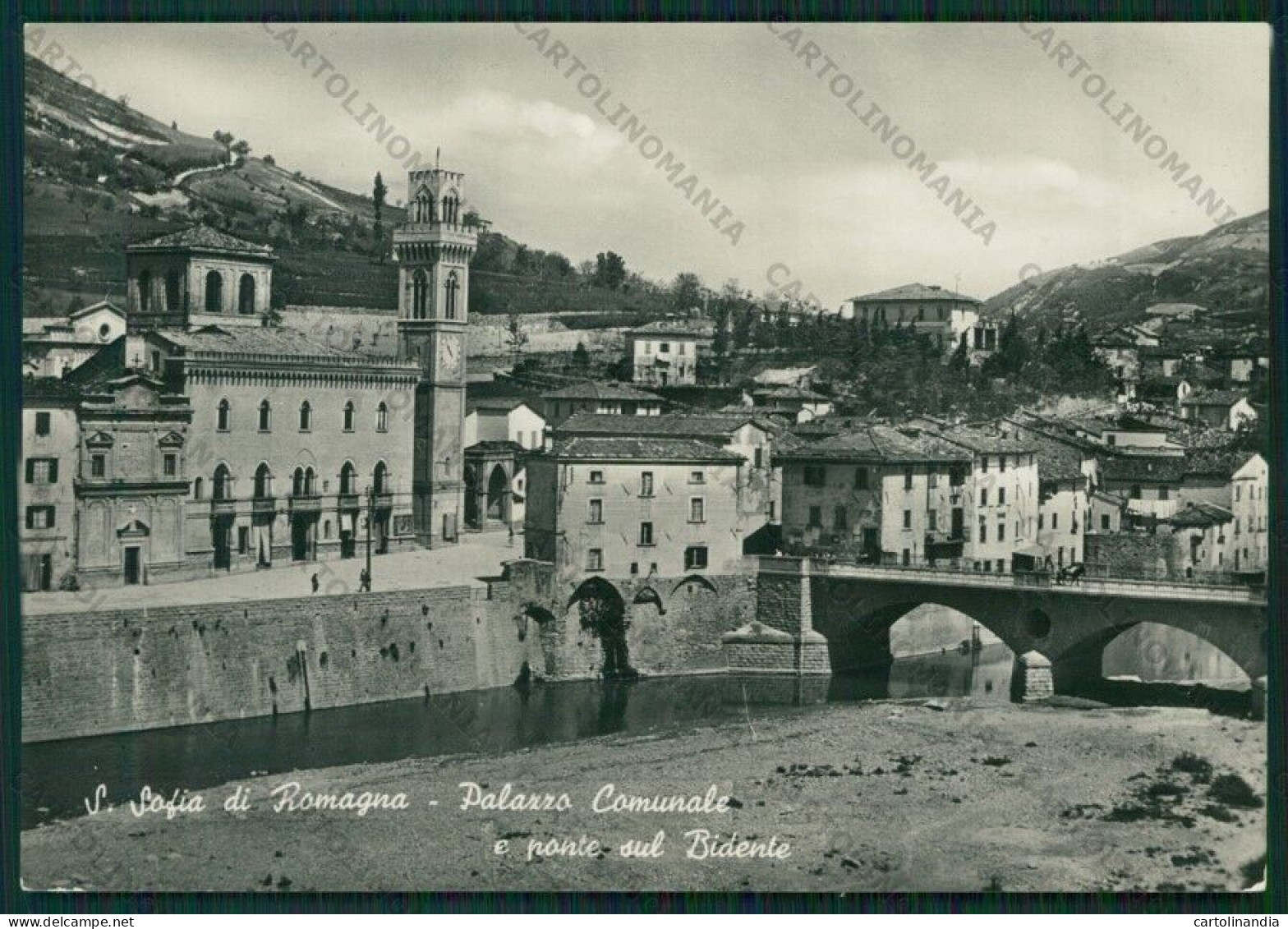 Forlì Cesena Santa Sofia Di Romagna Palazzo Comunale Foto FG Cartolina ZK1782 - Forlì