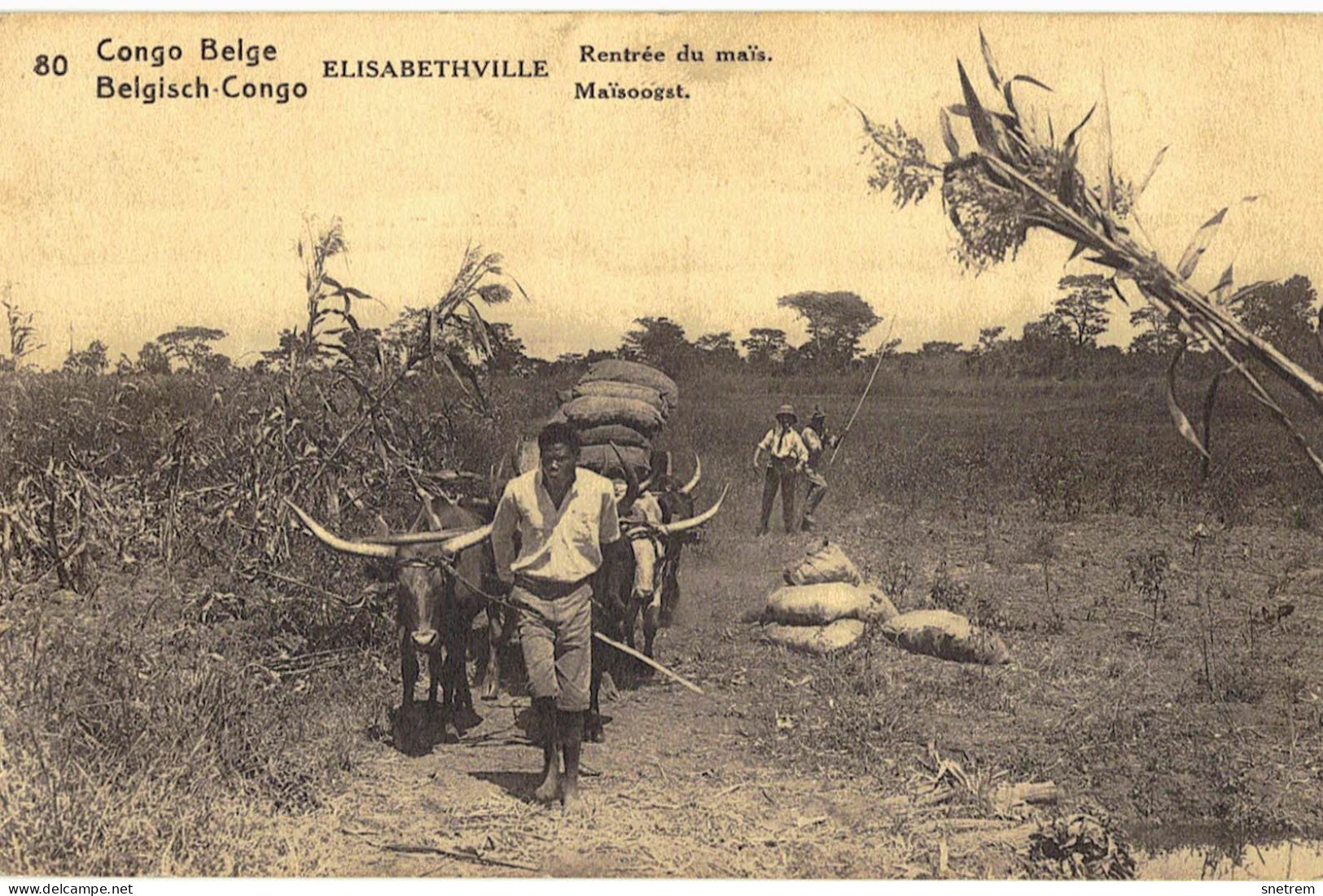 Congo Belge -Carte Prétimbrée No 80  - Elisabethville - Rentrée Du Maïs - Congo Belga