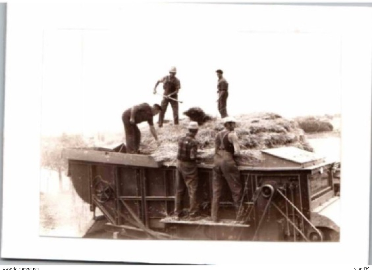 Scène De Battage Frangy En Bresse   1973   . Carte Double.    Non écrite Non Circulée - Fotografie